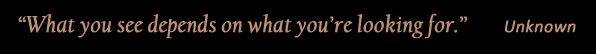 What you see depends upon what you are looking for